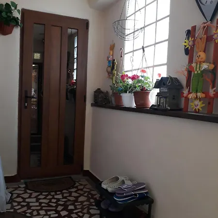 Gabi * Констанца