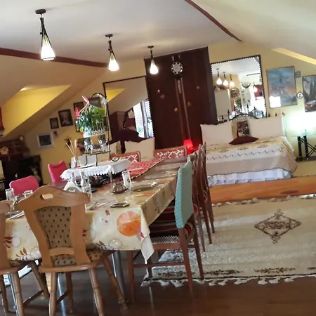 Apartment Gabi