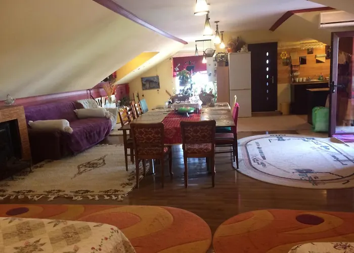 Gabi コンスタンツァ